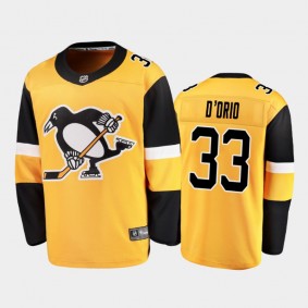 Men's Pittsburgh Penguins Alex D'Orio #33 Alternate Gold 2021 Jersey