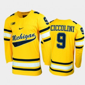 Men Michigan Wolverines Brendan Morrison #9 College Hockey Maize Alumni Jersey