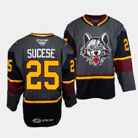 Nate Sucese Chicago Wolves #25 Grey AHL Storm Alternate Jersey 30th Season