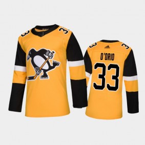 Pittsburgh Penguins Alex D'Orio #33 Alternate Gold 2020-21 Authentic Jersey